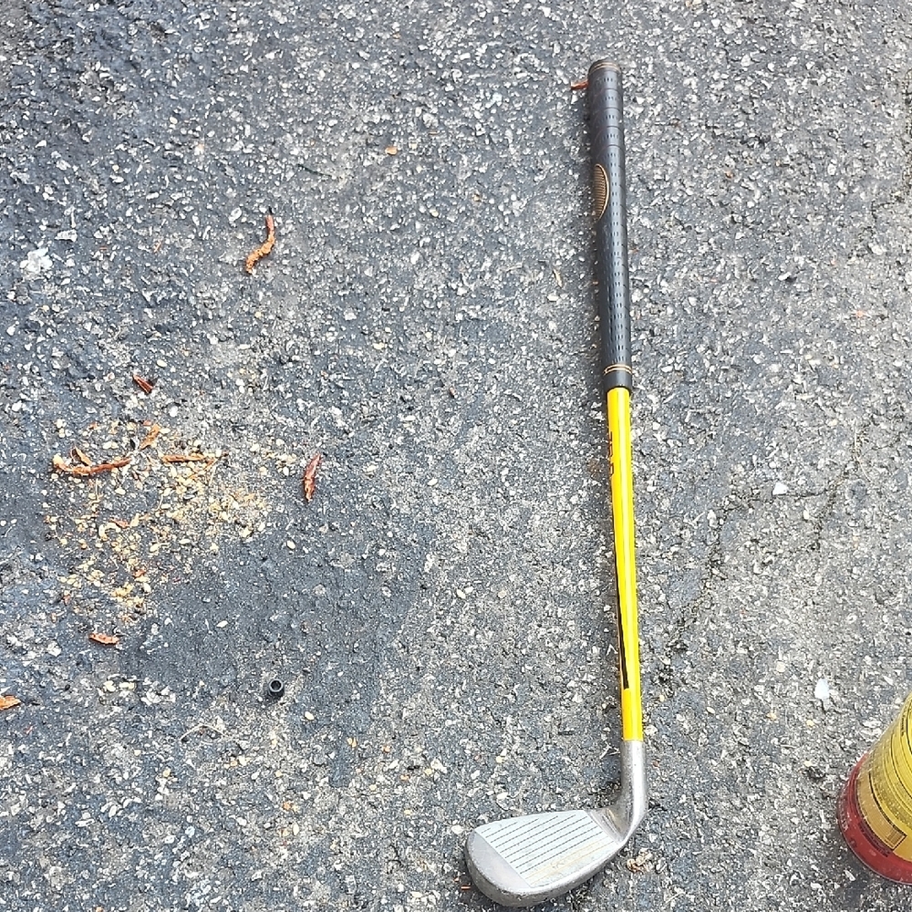 Yellow and Black Golf Club